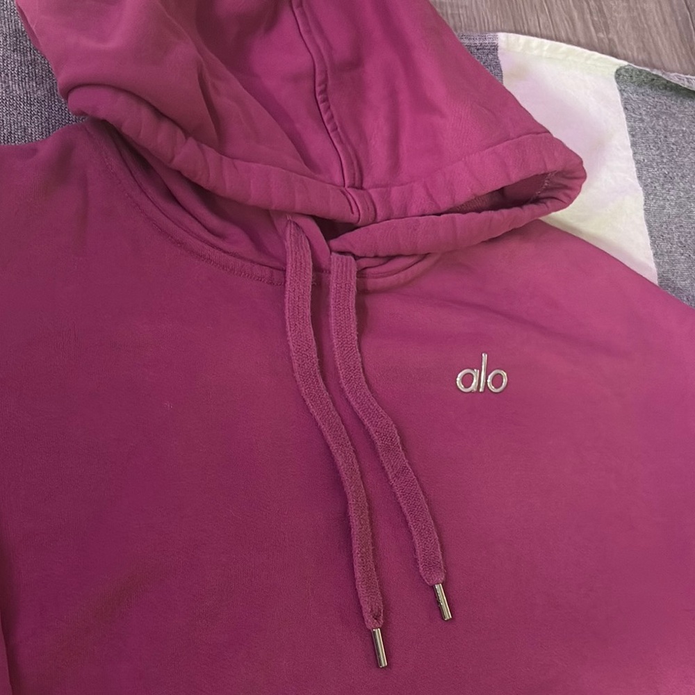 ALO Yoga Berry Hoodie